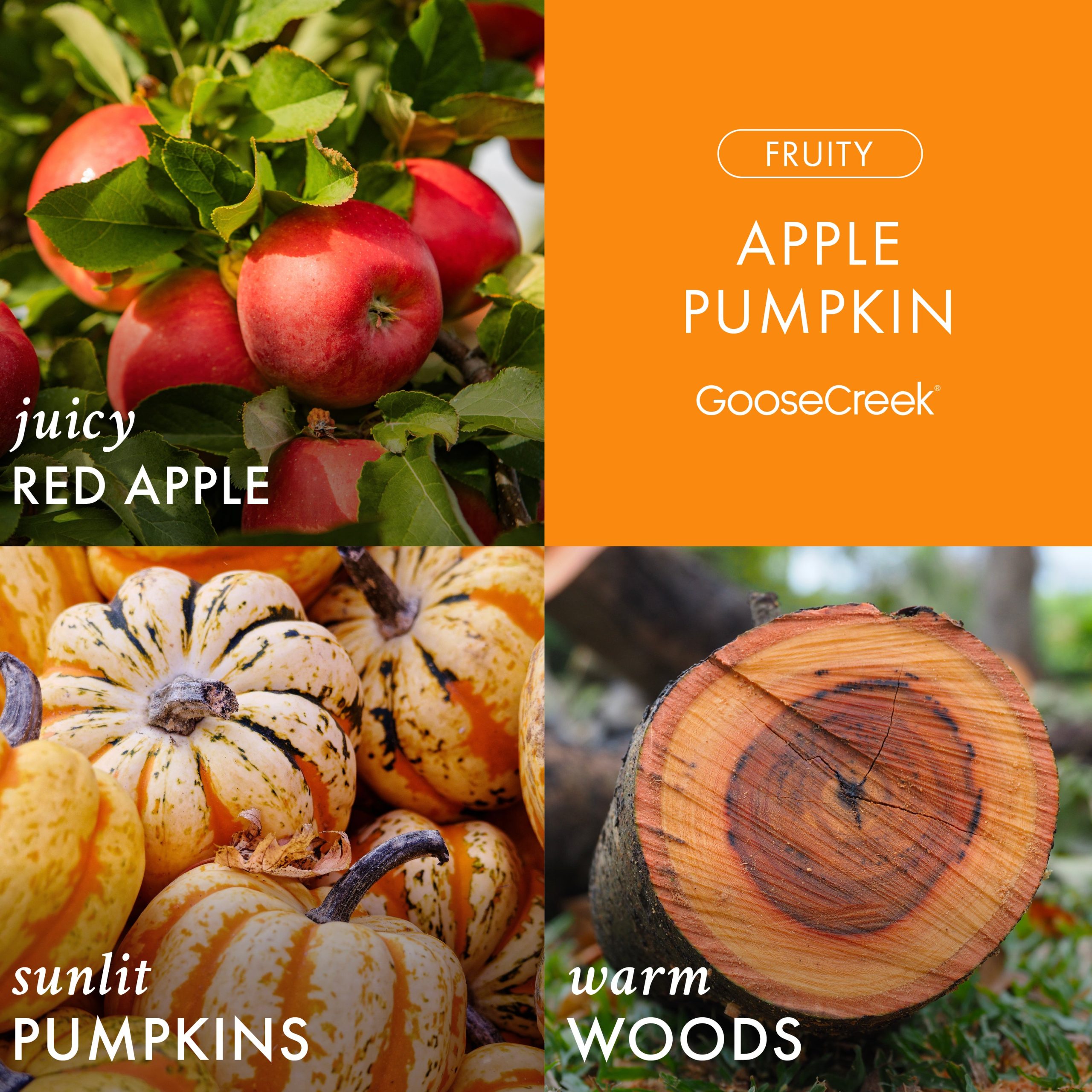 Apple Pumpkin Wax Melt - Image 2