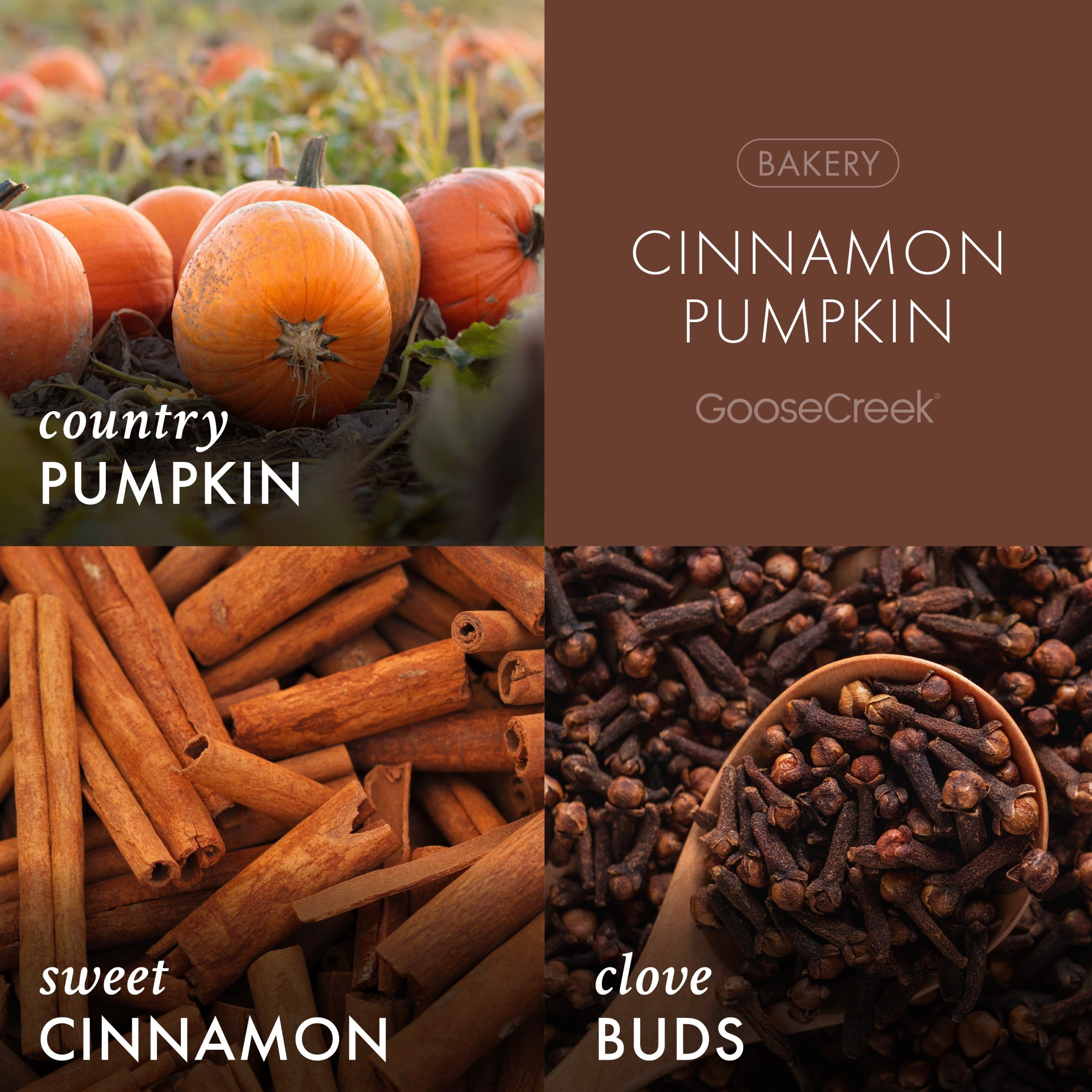 Cinnamon Pumpkin Wax Melt - Image 2