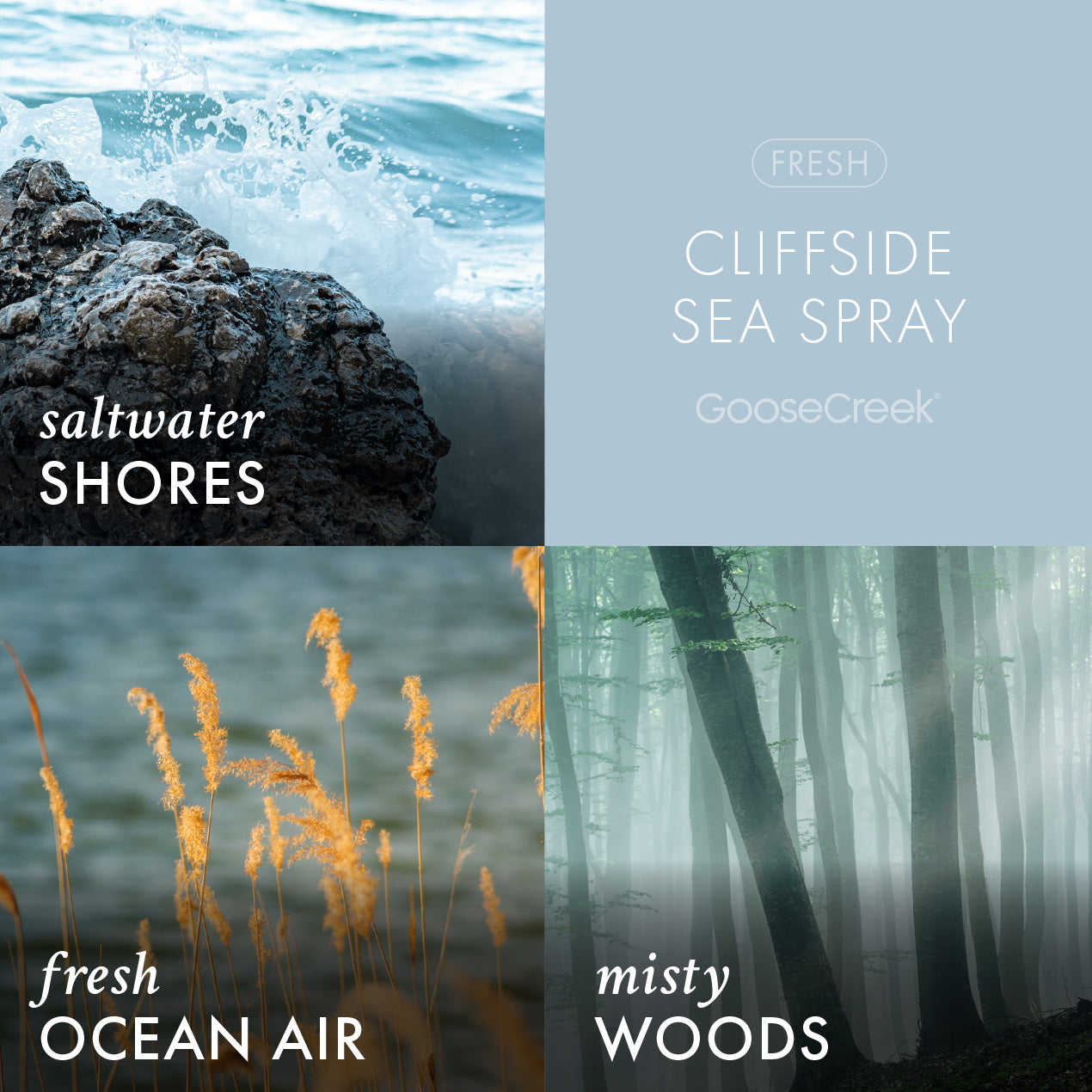 Cliffside Sea Spray 3-Wick Candle - Image 2