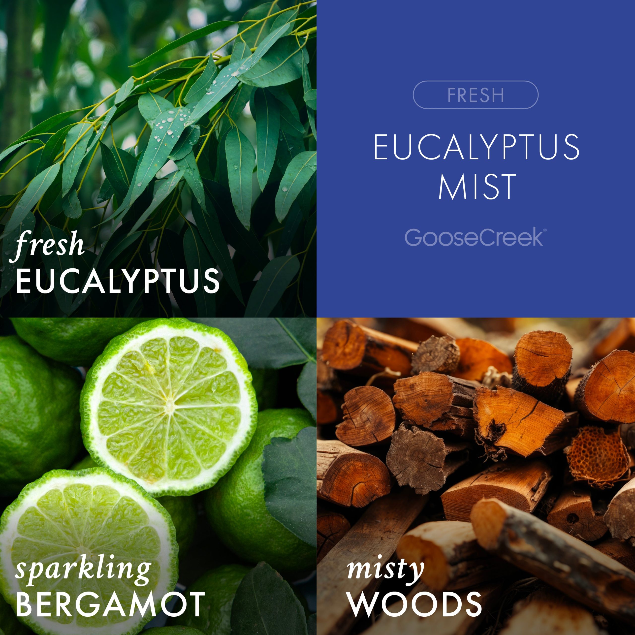 Eucalyptus Mist Odor Eliminating Wax Melt - Image 2