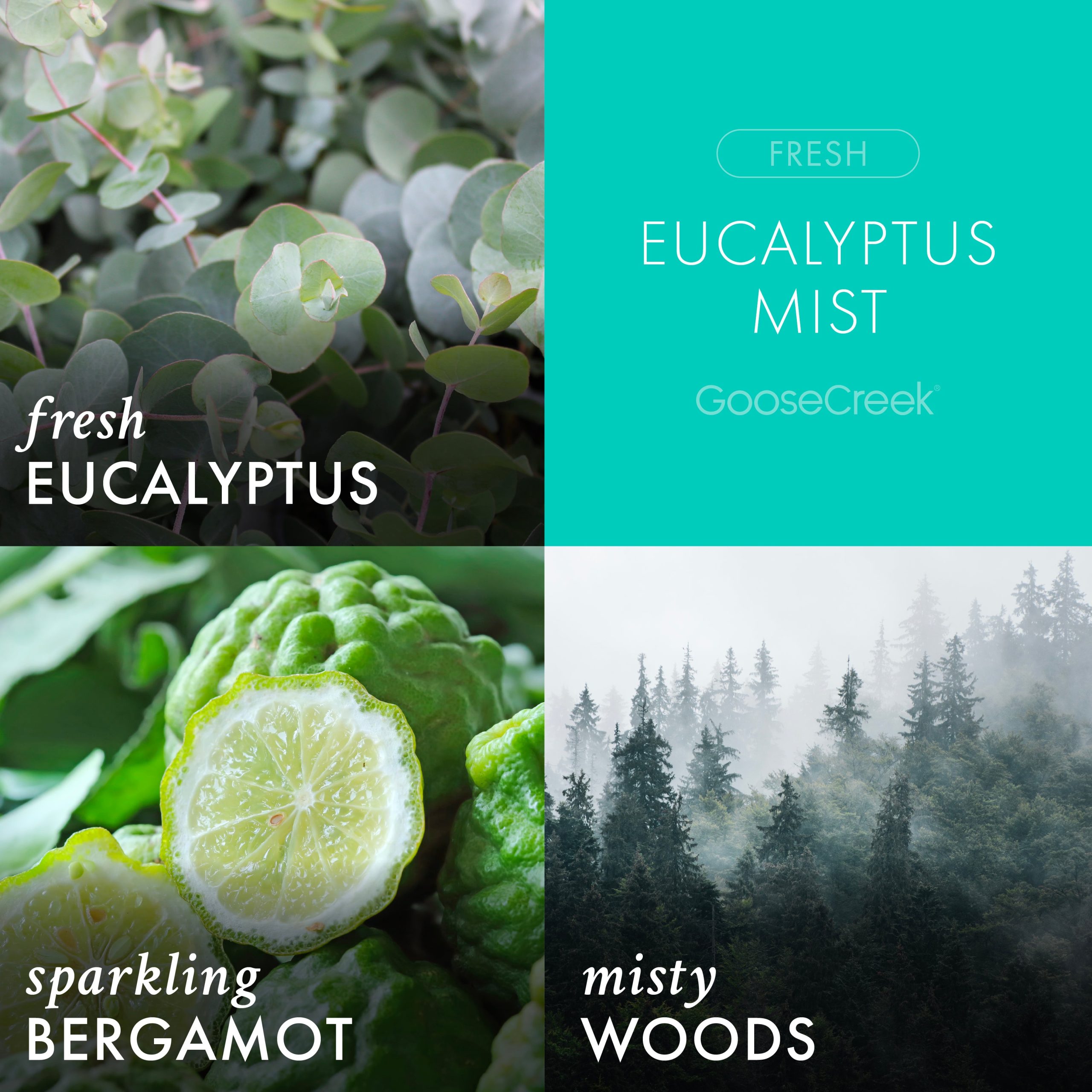 Eucalyptus Mist Wax Melt - Image 2