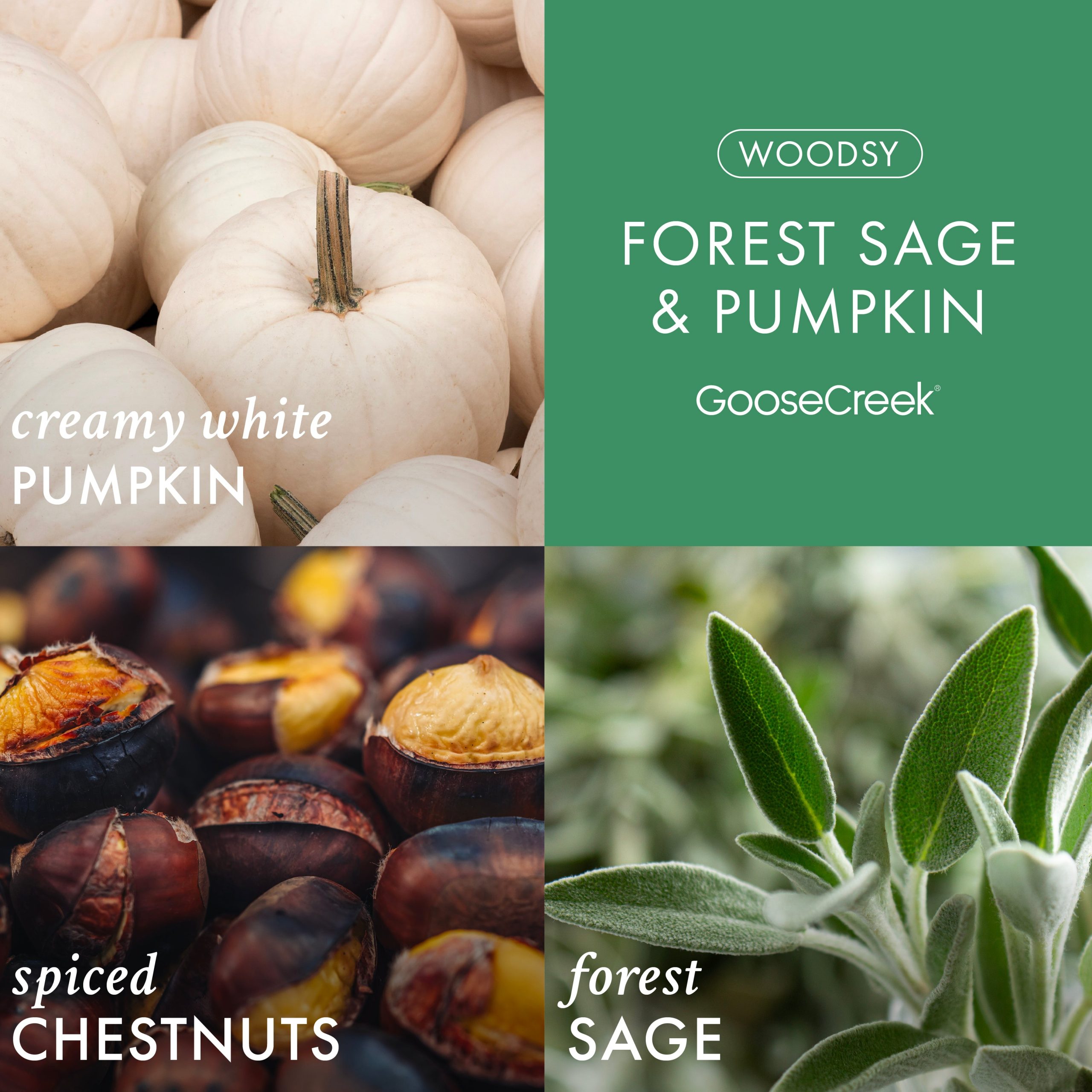 Forest Sage & Pumpkin 3-Wick Candle - Image 2
