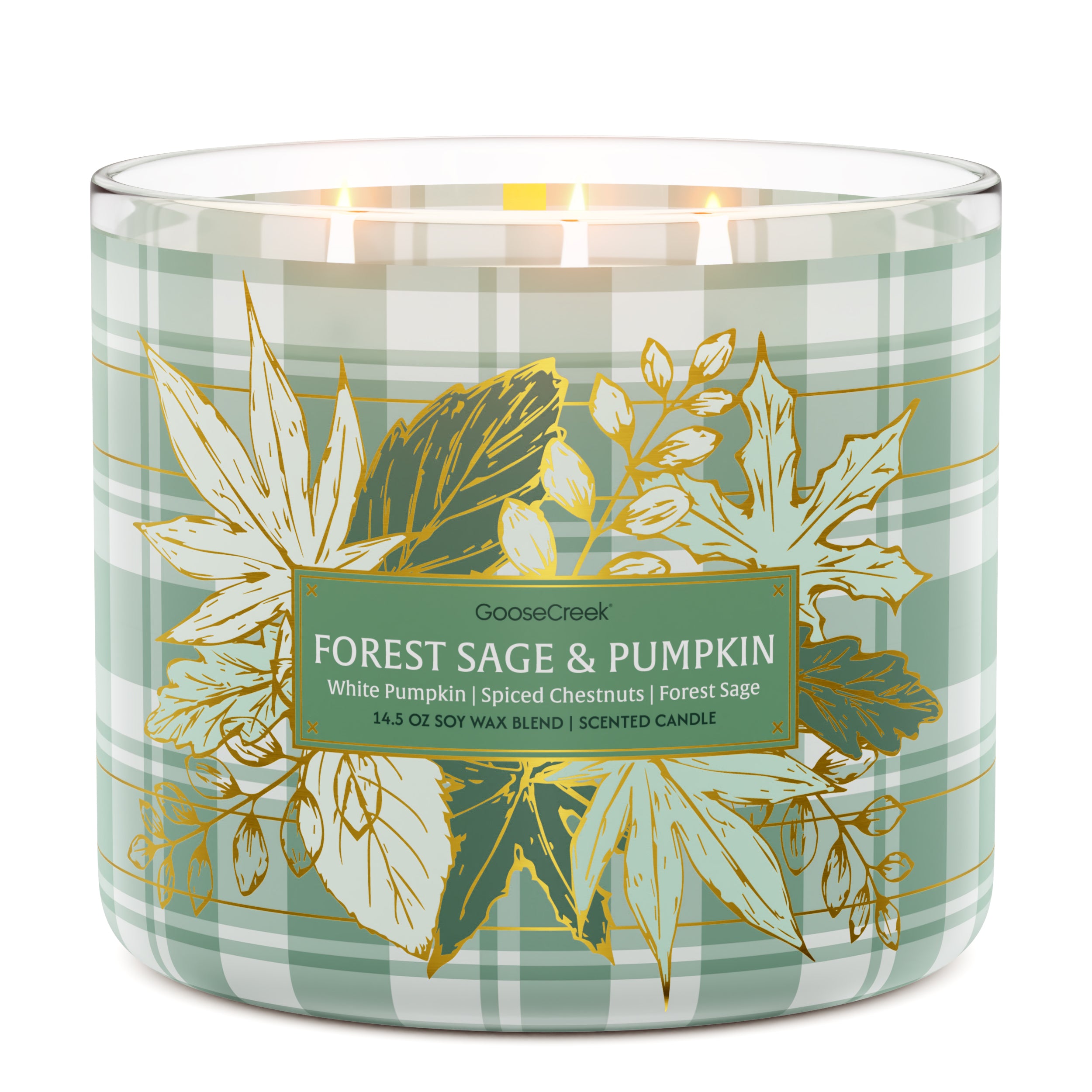 Forest Sage & Pumpkin 3-Wick Candle