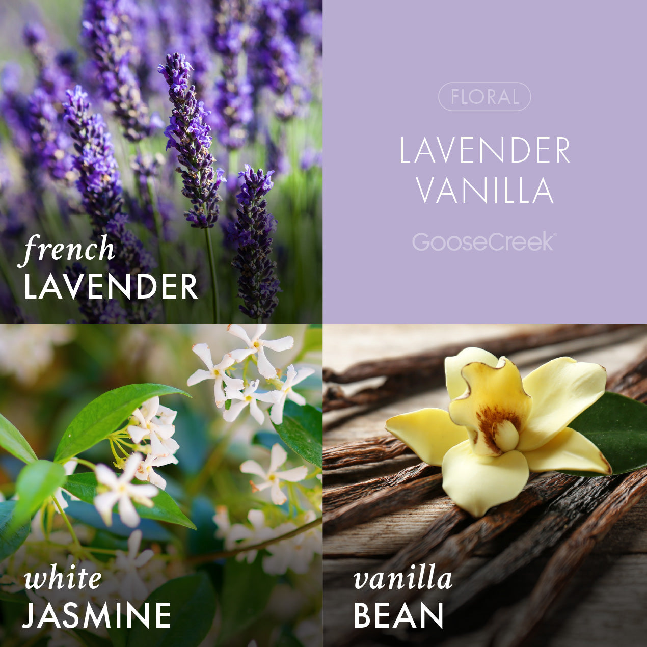 Lavender Vanilla Odor Eliminating 3-Wick Candle - Image 2