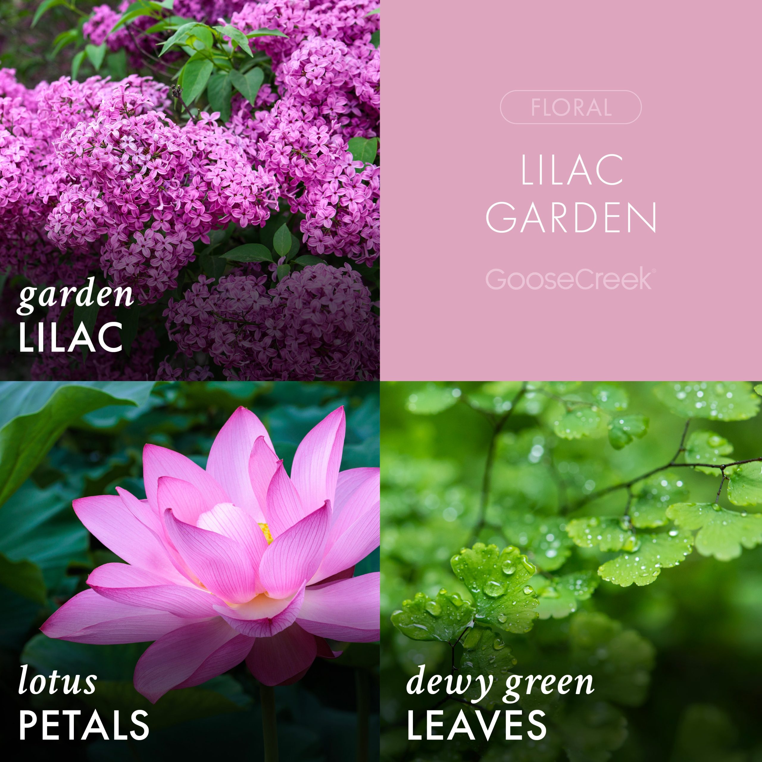 Lilac Garden Plug-in Refill - Image 2