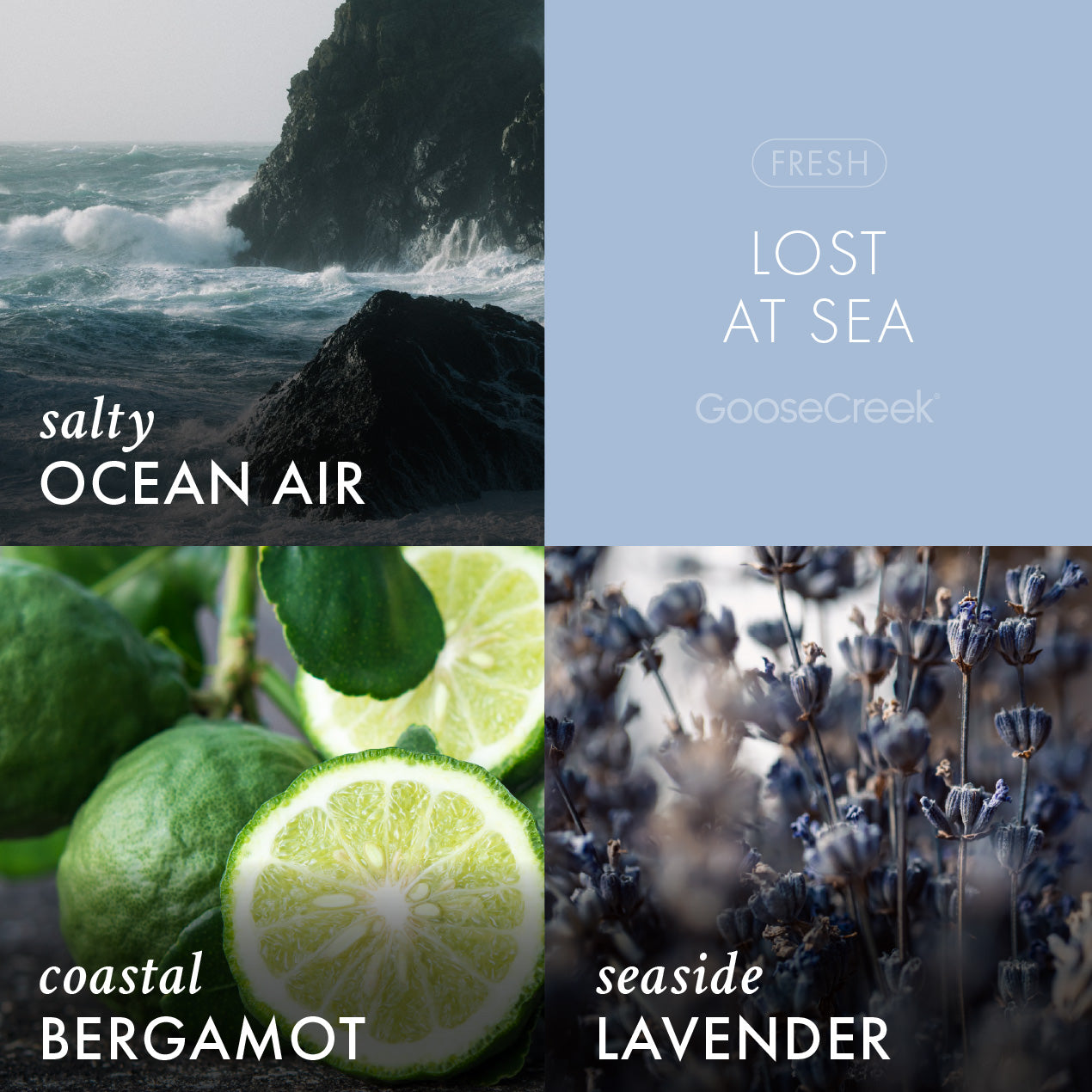 Lost at Sea Odor Eliminating Wax Melt - Image 2