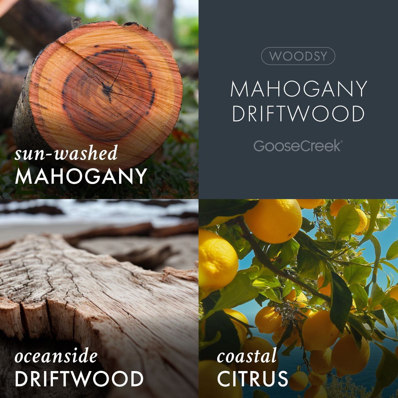 Mahogany Driftwood Wax Melt - Image 2