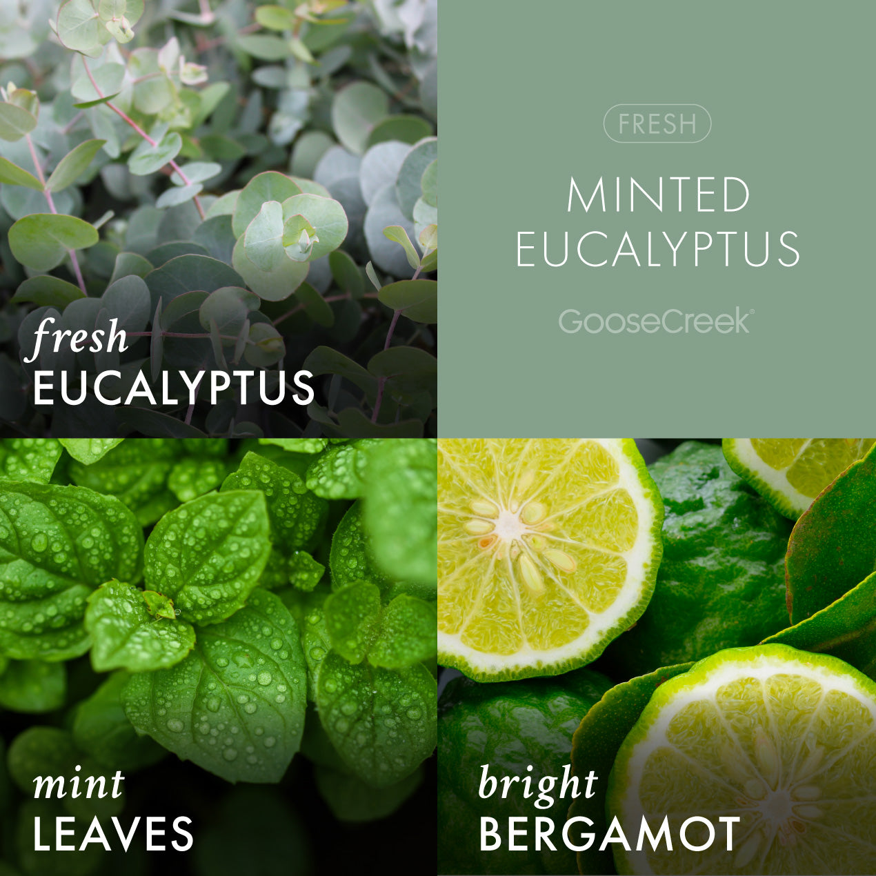 Minted Eucalyptus 3-Wick Candle - Image 2