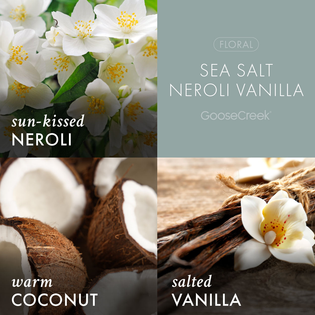 Sea Salt Neroli Vanilla Wax Melt - Image 2