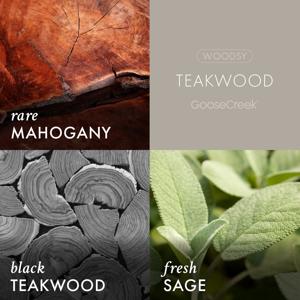 Teakwood Foaming Hand Soap - Image 3