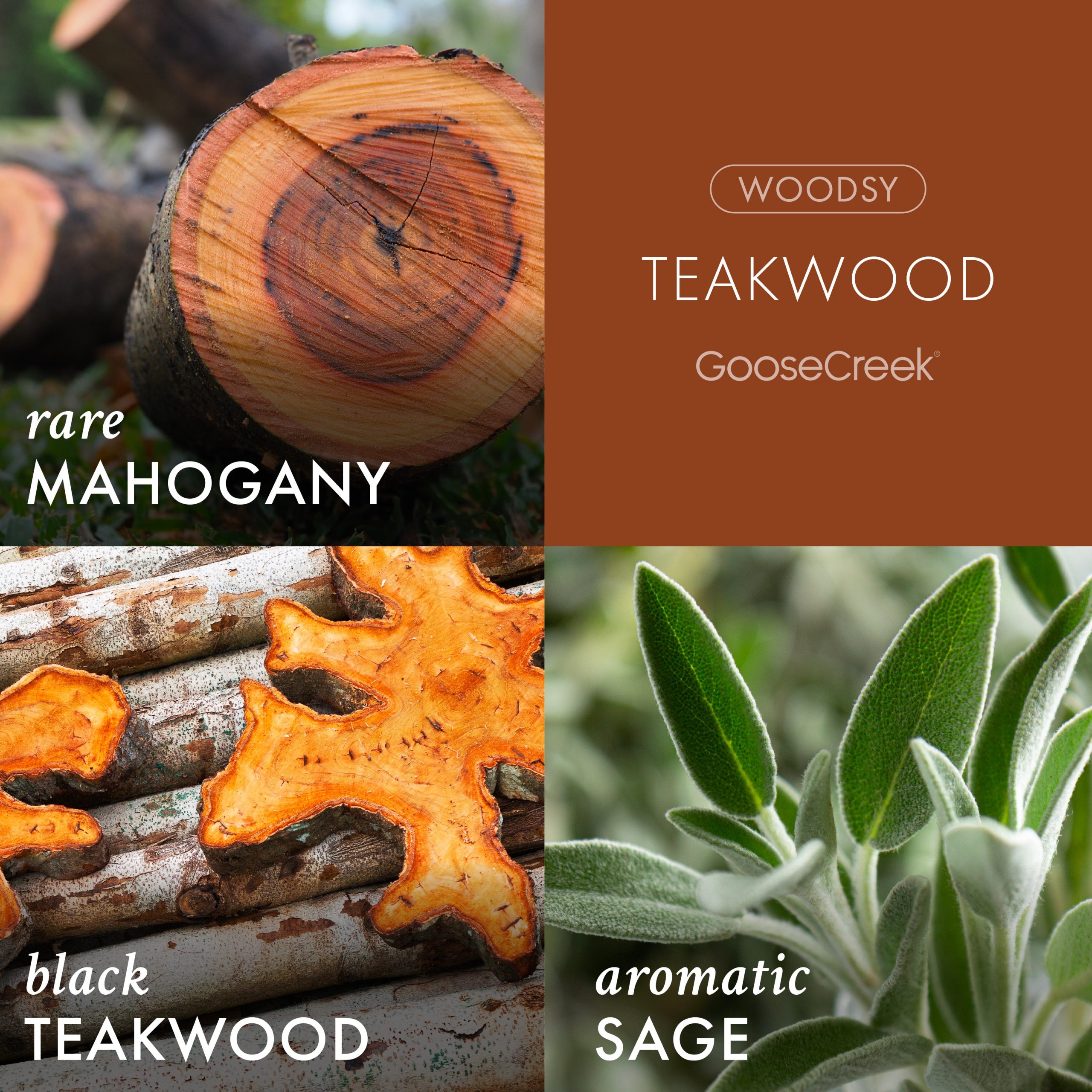 Teakwood Odor Eliminating Wax Melt - Image 2
