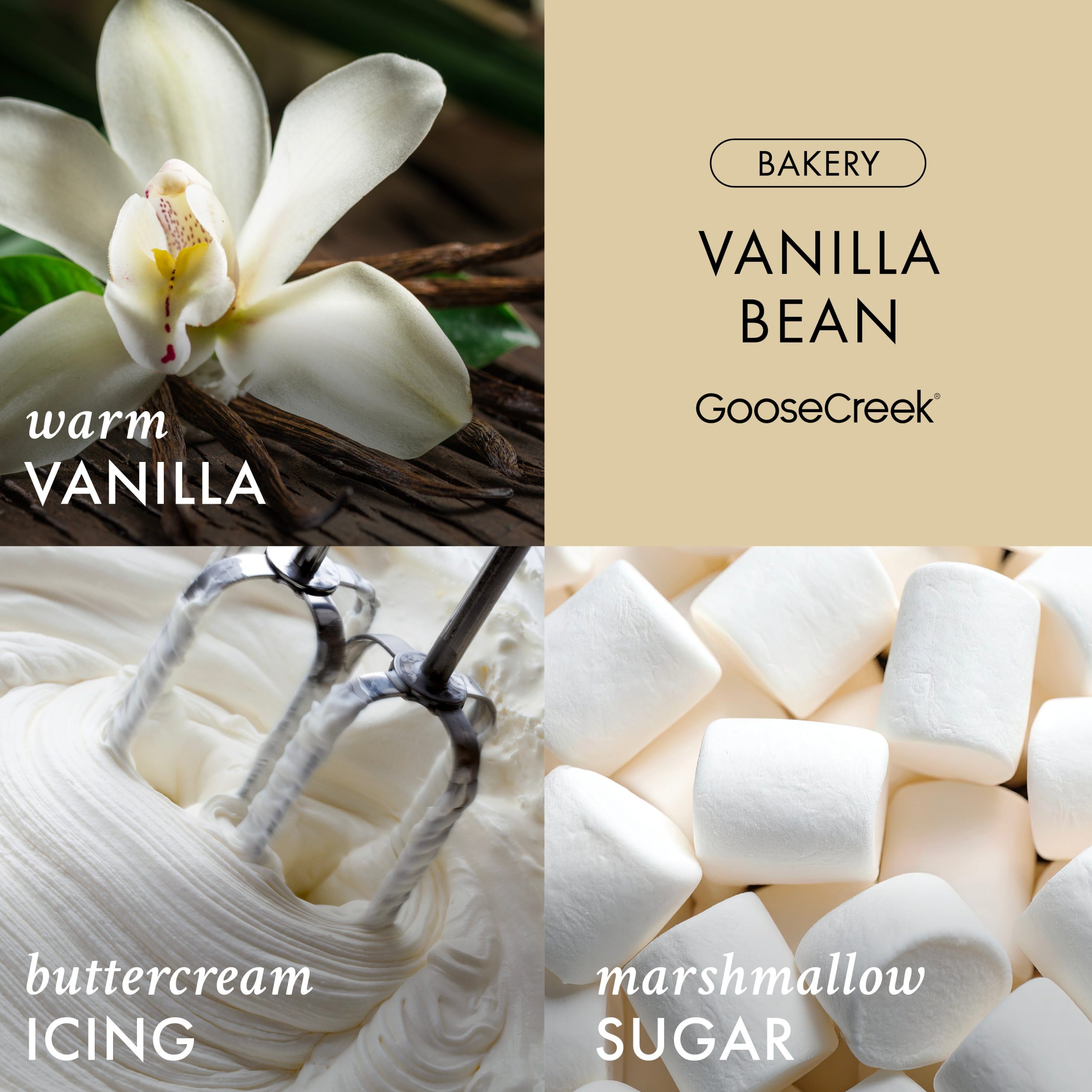 Vanilla Bean 3-Wick Candle - Image 2