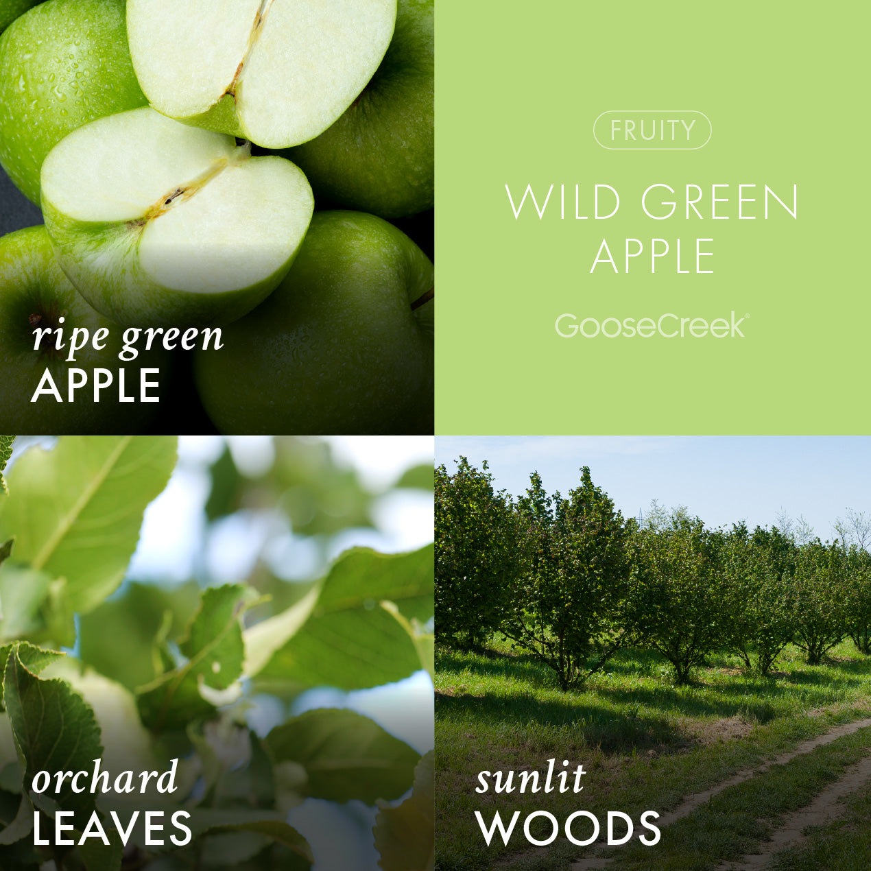 Wild Green Apple Odor Eliminating Wax Melt - Image 2