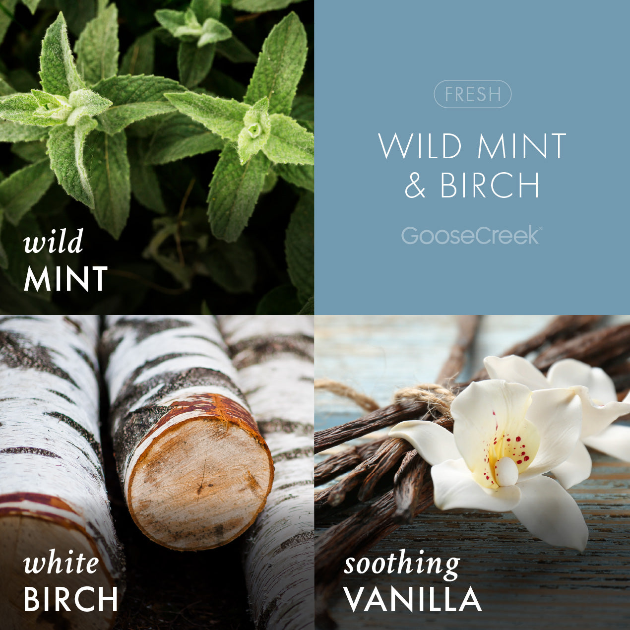 Wild Mint & Birch Aromatherapy 3-Wick Candle - Image 2